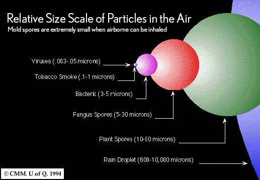 Relative size of particles in the air.